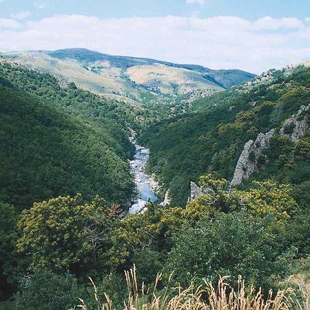 L'Oree Cevenole, Spa & Panorama D'Exception Saint Julien Les Rosiers 外观 照片