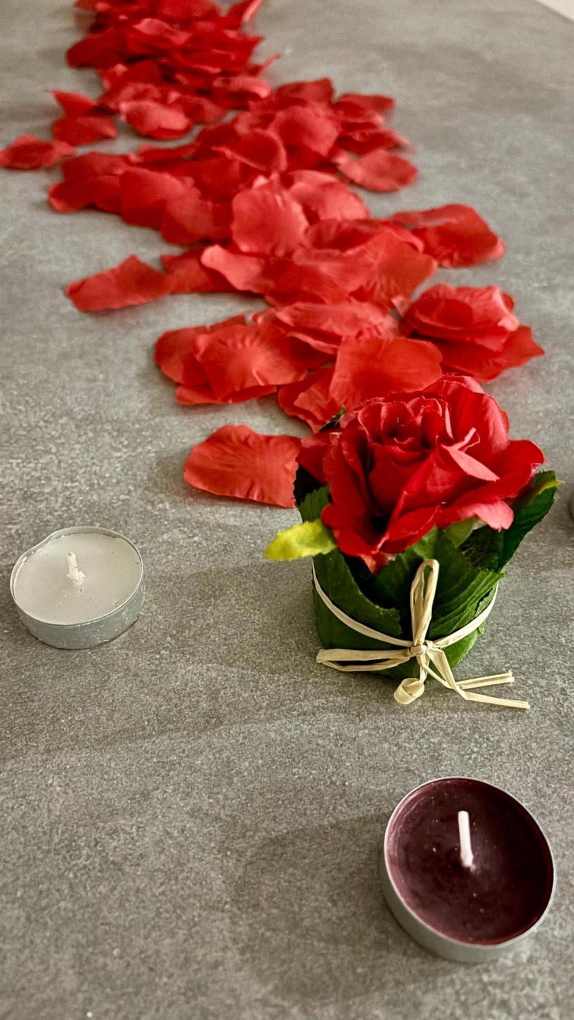 L'Oree Cevenole, Spa & Panorama D'Exception Saint Julien Les Rosiers 外观 照片