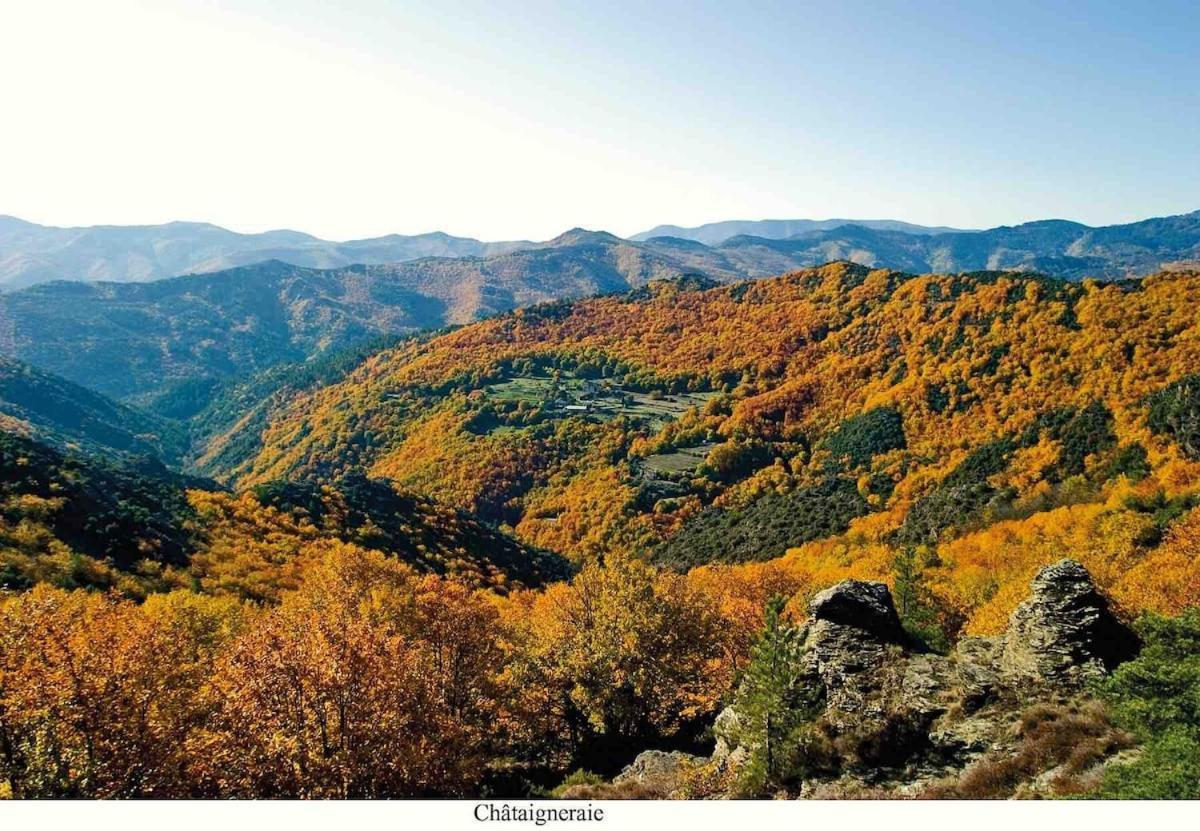 L'Oree Cevenole, Spa & Panorama D'Exception Saint Julien Les Rosiers 外观 照片